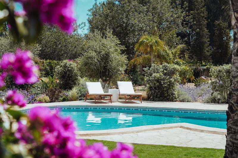 The pool and two sun loungers, pink flowers in front