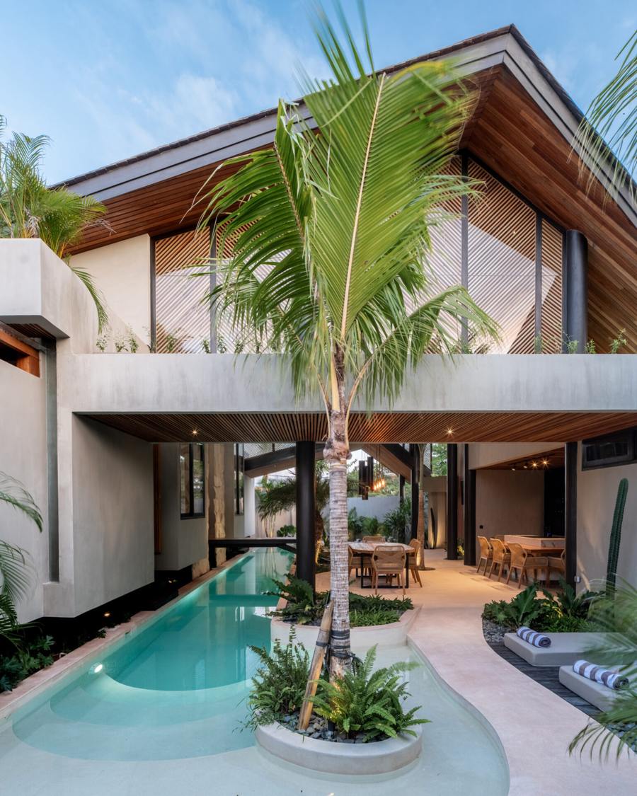 Modern tropical villa with a long private pool and palm trees in Bali